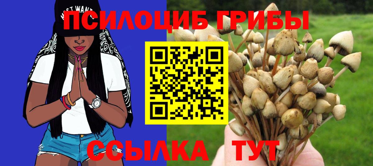 Галлюциногенные грибы мицелий  Вход с VPN  Новоалександровск 