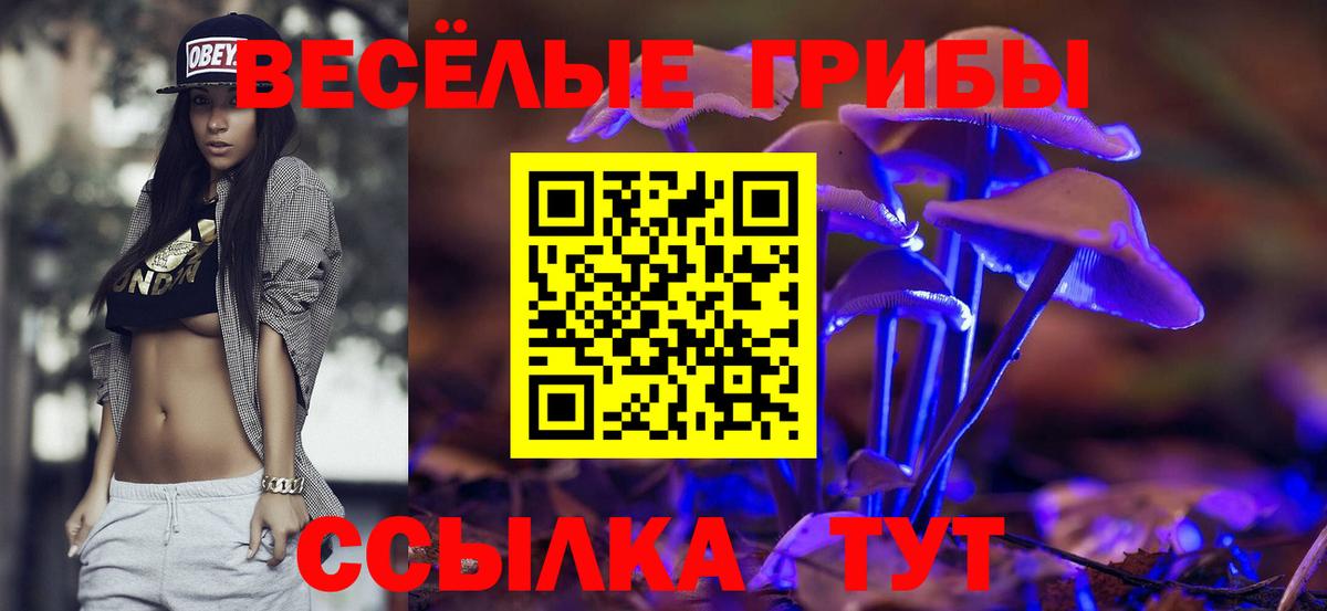 Псилоцибиновые грибы прущие грибы Новоалександровск